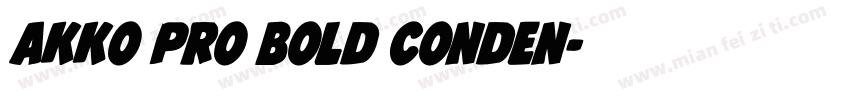 Akko Pro Bold Conden字体转换